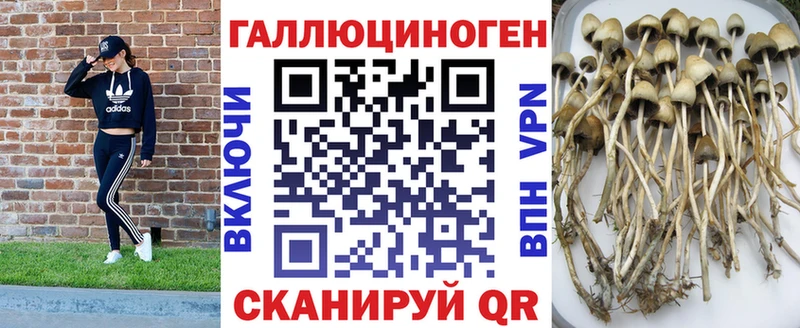 Псилоцибиновые грибы мухоморы Яровое